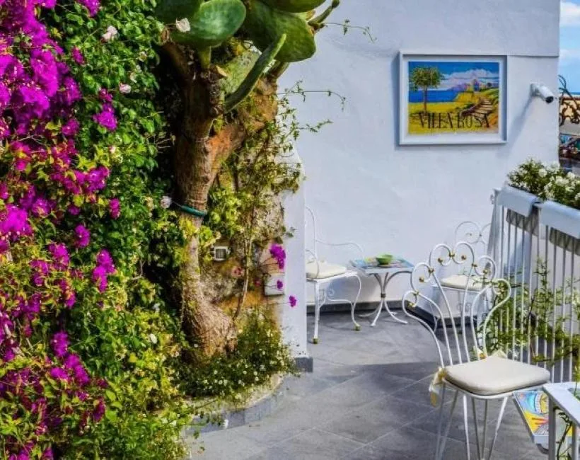 1073_terraco-pequeno-bougainvillea-parede Plantas nas Varandas: Crie Seu Oásis Verde e Aconchegante, em Qualquer Tamanho!