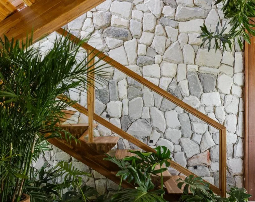 Parede de pedra natural clara em hall com escada de madeira e plantas verdes.
